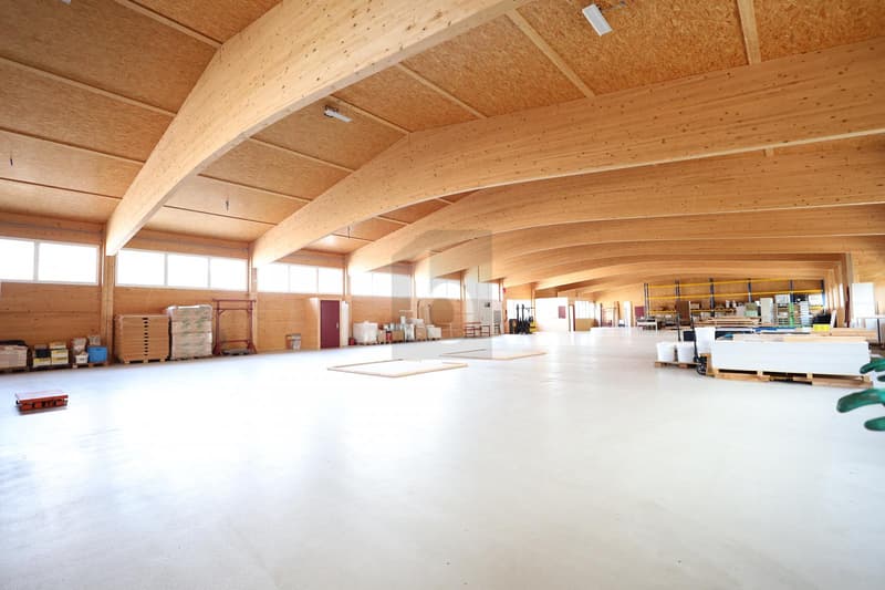 PRODUKTIONSFLÄCHE MIT 6 METER INNENHÖHE (3)