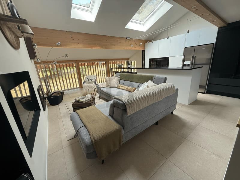 LOFT EXCLUSIF AVEC JARDIN PRIVÉ ET GARAGE (2)