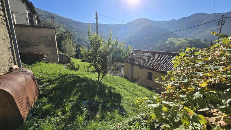 SOLEGGIATA CON GIARDINO (2)