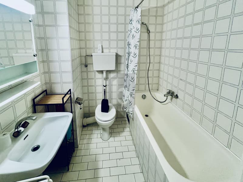 CHARMANT MEUBLÉ CENTRAL POUR COUPLE OU FAMILLE (5)