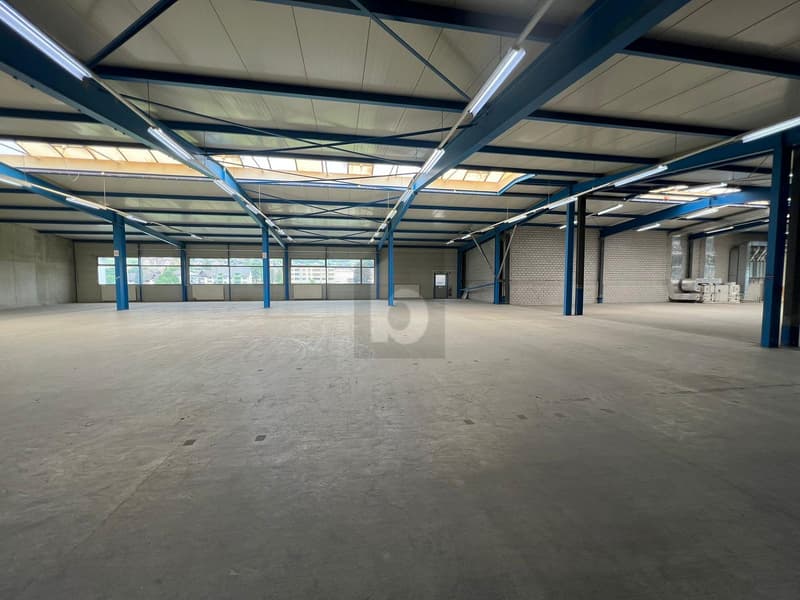GROSSZÜGIG MIT VIEL LAGERPLATZ (3)