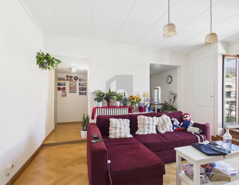 ATTIQUE AVEC BALCON À SERVETTE-CHARMILLES (3)