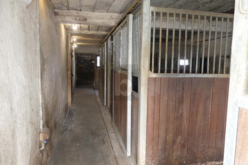 MAISON DE CAMPAGNE ( IDÉAL POUR ANIMAUX ) (4)