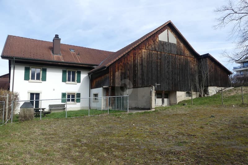 MAISON DE CAMPAGNE ( IDÉAL POUR ANIMAUX ) (1)