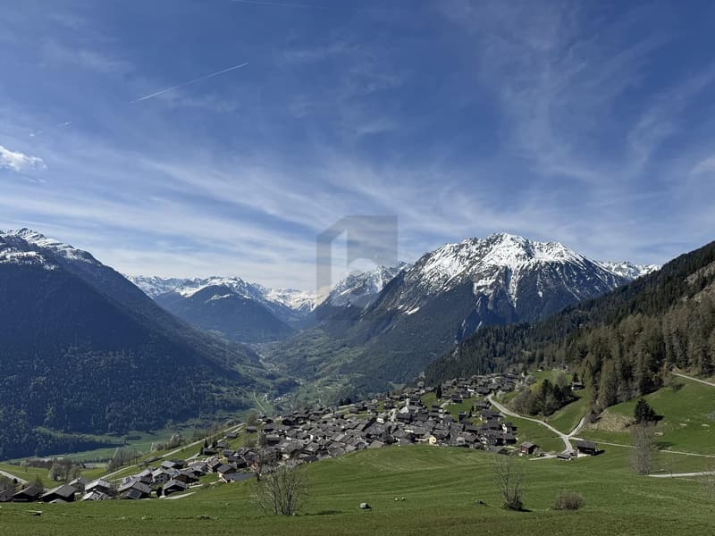 NATURE, VUE DÉGAGÉE & UNIQUE (1)