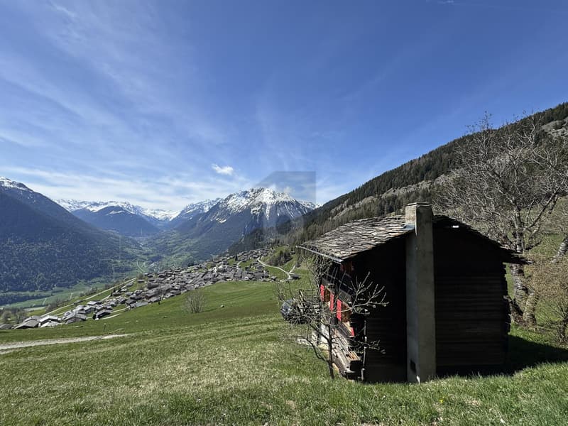 NATURE, VUE DÉGAGÉE & UNIQUE (3)