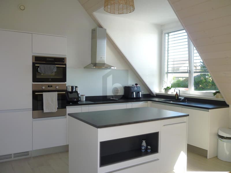 MODERNE, SPACIEUX, ET EN BORDURE DE NATURE ! (4)