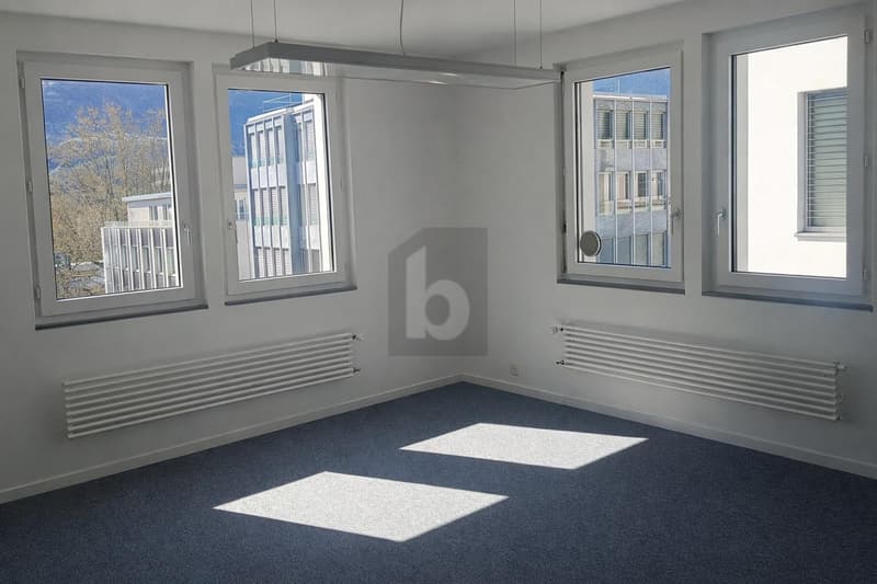 LUMINEUX, PRATIQUE ET CENTRAL (5)