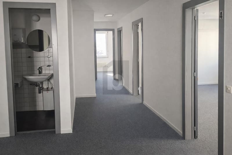 LUMINEUX, PRATIQUE ET CENTRAL (4)