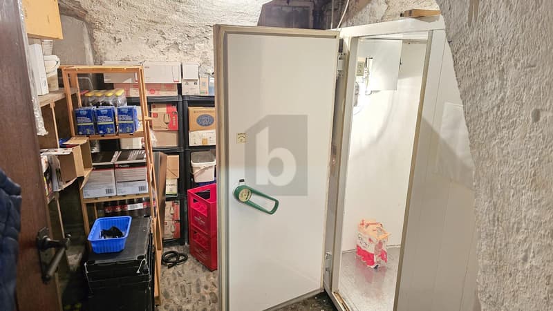 POTENZIAL FÜR VERSCHIEDENE KONZEPTE (5)