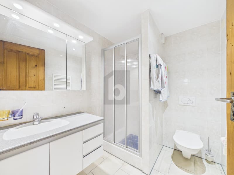 ÉLÉGANT LOGEMENT MEUBLÉ AU CHARME CONTEMPORAIN (3)