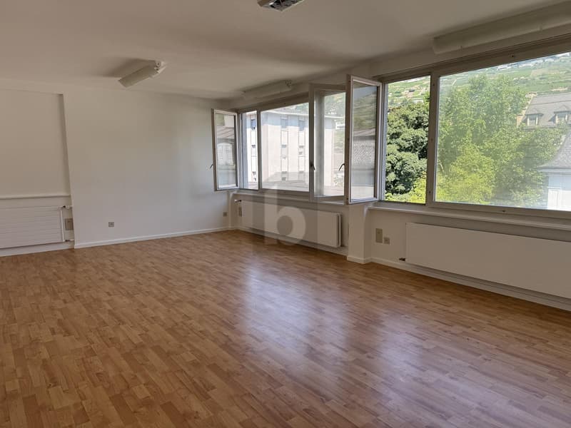 ESPACE DE TRAVAIL AU CENTRE VILLE (2)