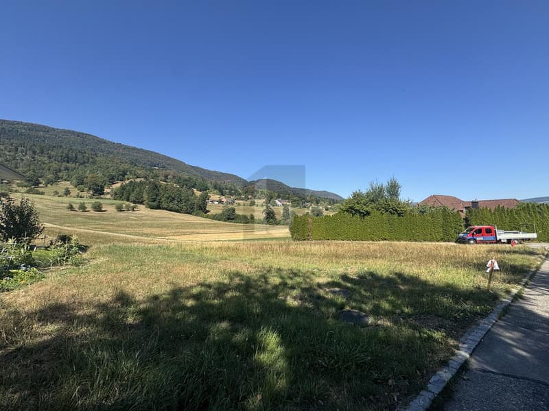 RUHE UND WEITBLICK AN DER NATURSSCHUTZZONE (4)