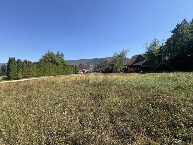 RUHE UND WEITBLICK AN DER NATURSSCHUTZZONE (2)