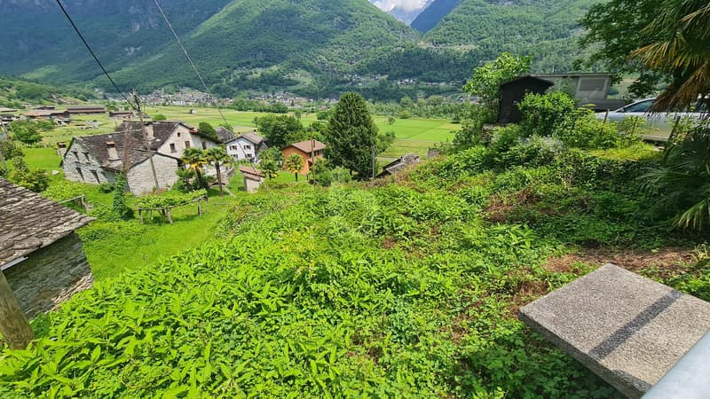 EDIFICABILE IN POSIZIONE SOLEGGIATA E CON VISTA APERTA (3)