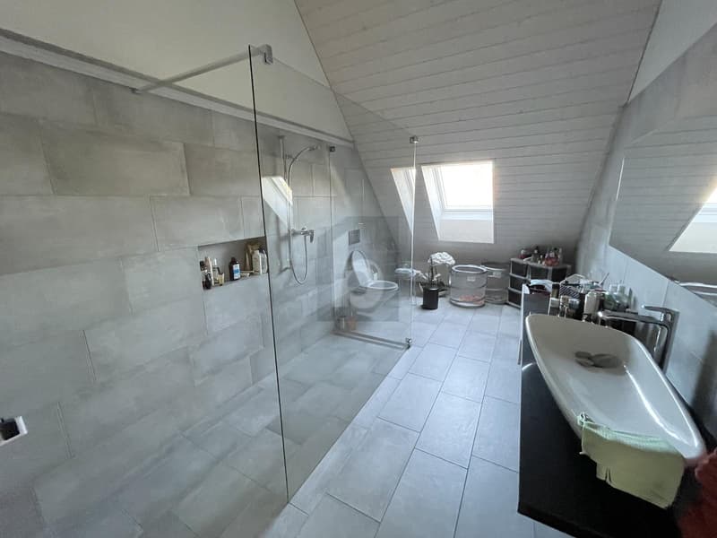 PREMIUM-WOHNEN MIT LOFT-CHARAKTER UND LIFTZUGANG (5)
