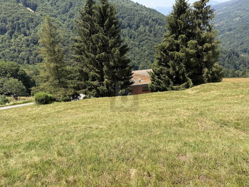 PROGETTO EDILIZIO APPROVATO CON STUDIO DI PROGETTO (4)