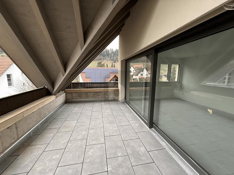 EXKLUSIV MIT GROSSER DACHTERRASSE (5)