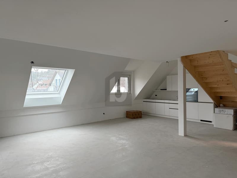 EXKLUSIV MIT GROSSER DACHTERRASSE (1)