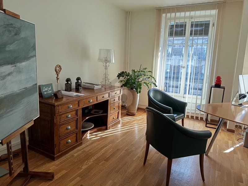 CENTRAL, PROFESSIONNEL & CONFORTABLE (2)