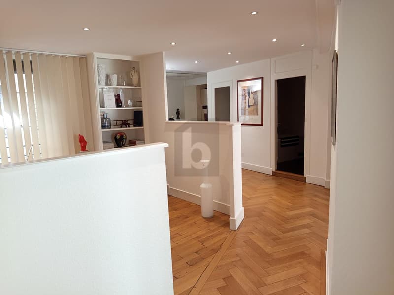 CENTRAL, PROFESSIONNEL & CONFORTABLE (3)