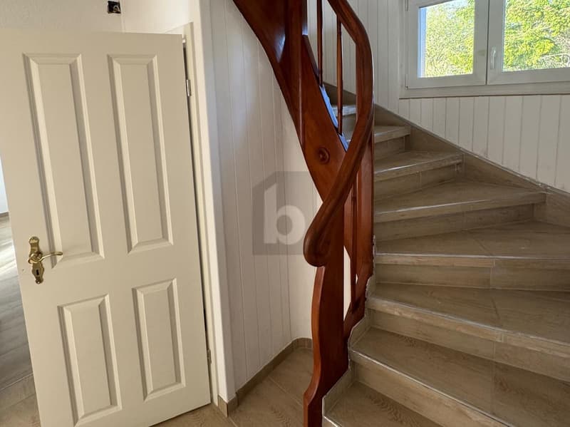 MODERN UND FRISCH RENOVIERT (5)