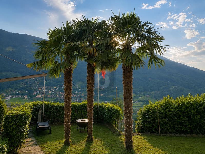 TRANQUILLA E SOLEGGIATA CON VISTA (2)
