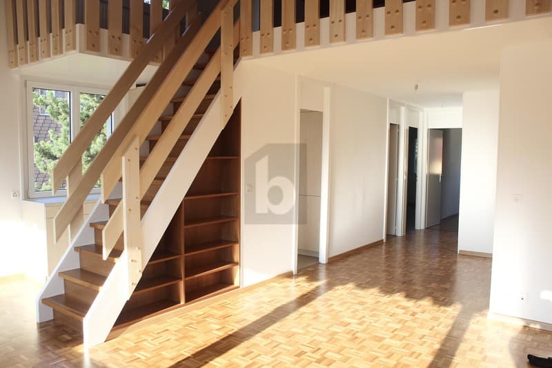 ESPACE, LUMIÈRE ET CARACTÈRE SOUS LES COMBLES (2)