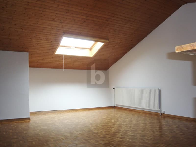 ESPACE, LUMIÈRE ET CARACTÈRE SOUS LES COMBLES (5)