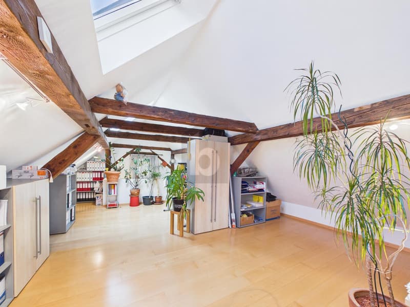 EIN HAUS MIT SEELE (4)