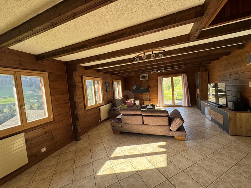 MAGNIFIQUE, RÉNOVÉ AVEC VUE SUR LES DENTS DU MIDI (4)