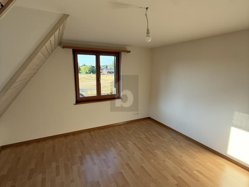 MIT SICHTBALKEN UND CHEMINÉE (3)