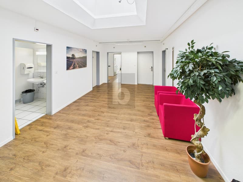 MODERNES BÜRO AN ZENTRALER LAGE 3.01 (1)