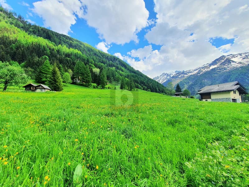 TERRAINS CONSTRUCTIBLES, AGRICOLES ET FORESTIERS (1)