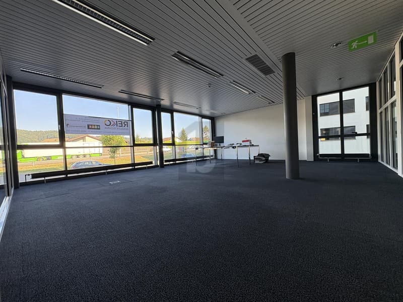 REPRÄSENTATIV MIT GLASFRONT (2)