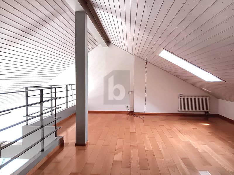 DUPLEX RARE ET UNIQUE ! (5)