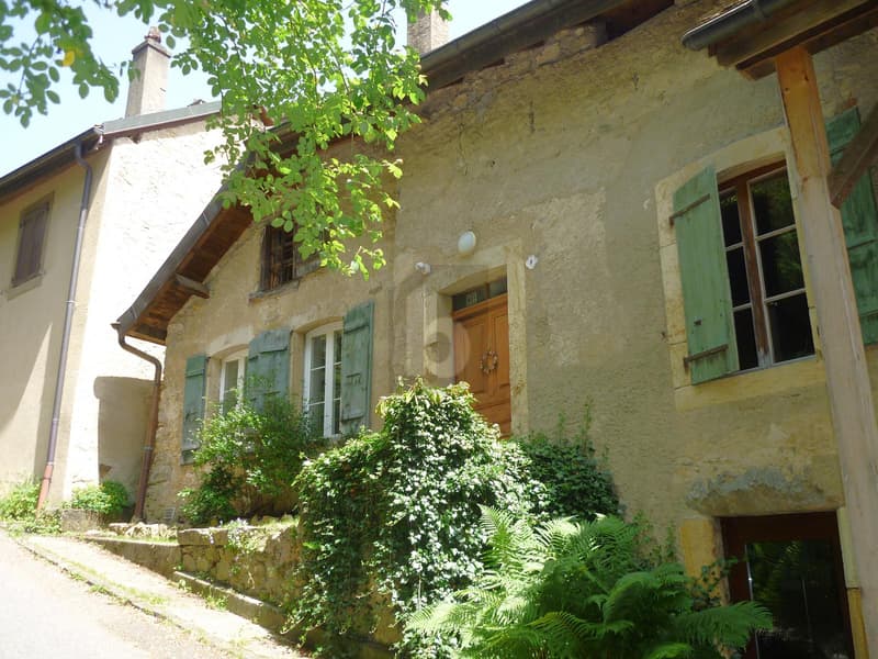 CHARME AUTHENTIQUE ET CHALEUREUX (1)