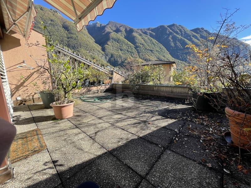 SPAZIOSA CON GIARDINO E TERRAZZE (1)