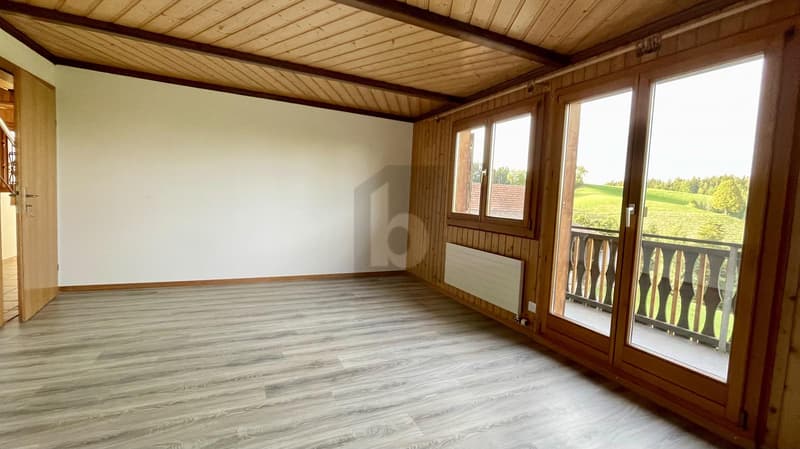 MIT NEUER KÜCHE UND UNVERBAUBAREM AUSBLICK (4)