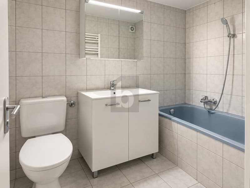 IMMEUBLE 5,4 % ET 2È IMMEUBLE CONSTRUCTIBLE (5)