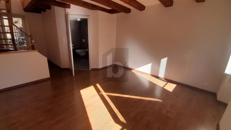 CHARMANTE AVEC TERRASSE PRIVÉE (3)