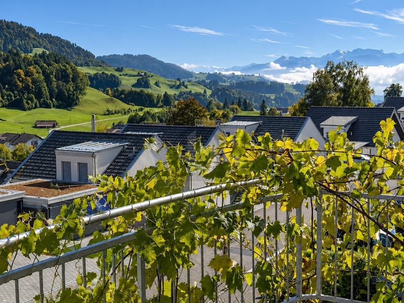 PANORAMASICHT MIT VIEL PLATZ UND FLEXIBLER NUTZUNG (2)