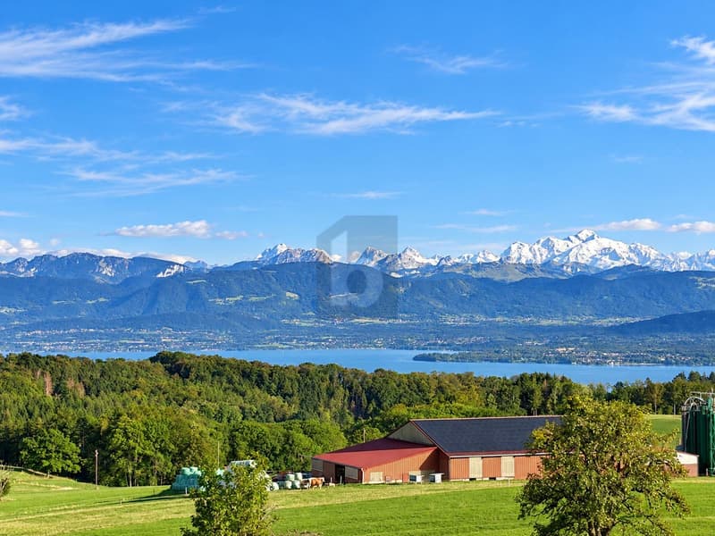 MAGNIFIQUE SPACIEUX ET VUE PANORAMIQUE SUR LE LAC (1)