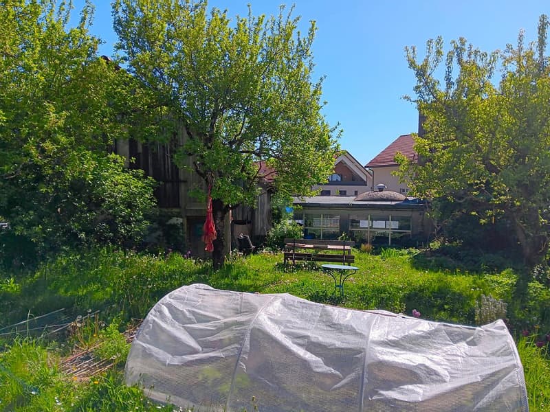 POTENTIEL POLYVALENT AU CUR DU VILLAGE (4)