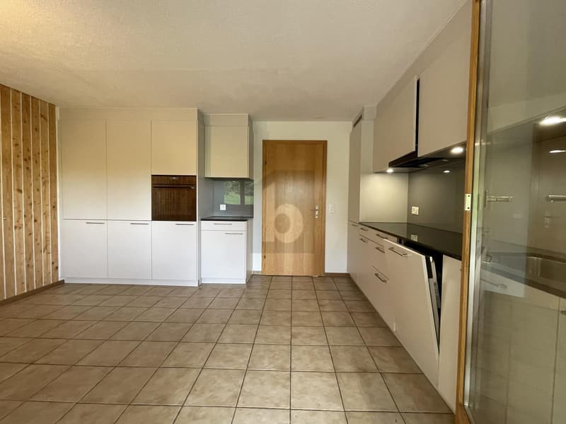 MIT NEUER KÜCHE UND UNVERBAUBAREM AUSBLICK (3)