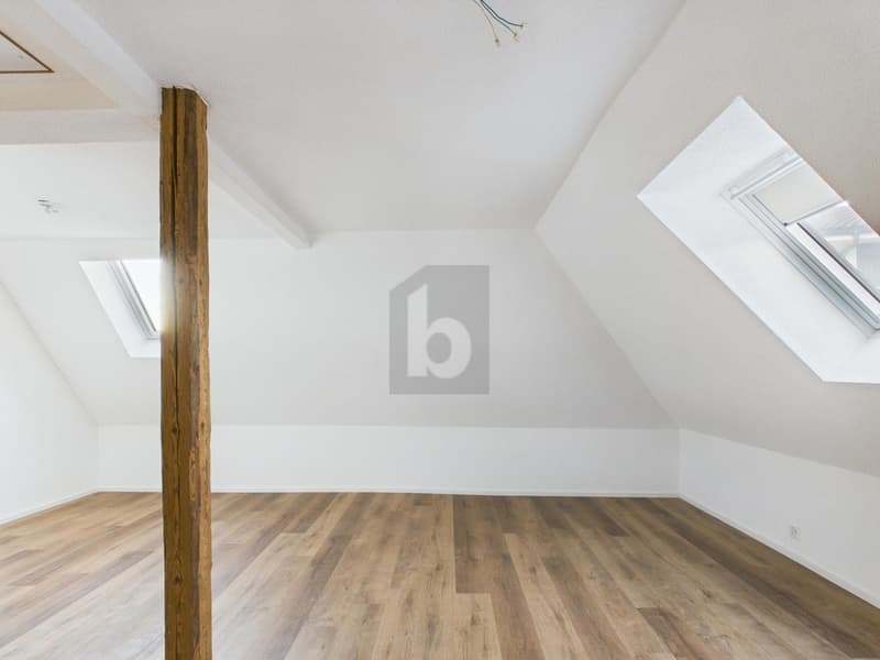 HOCHWERTIG UND KOMPLETT RENOVIERT (5)