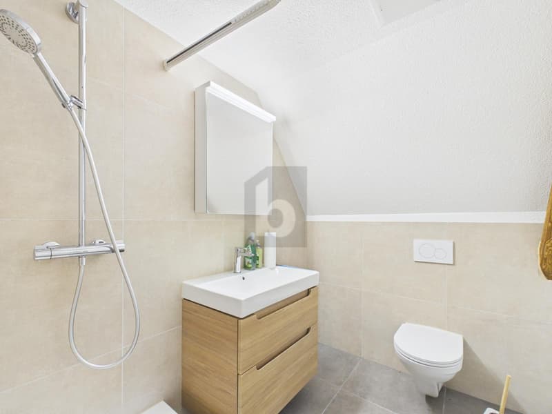 HOCHWERTIG KOMPLETT RENOVIERT (4)