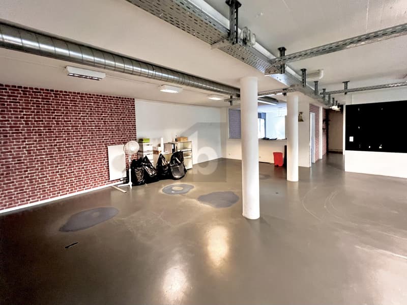 ATTRAYANT, MULTIFONCTIONNEL ET DISPONIBLE DE SUITE (3)