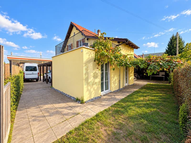 GROSSZÜGIG WOHNEN MIT GARTEN UND SITZPLATZ (5)
