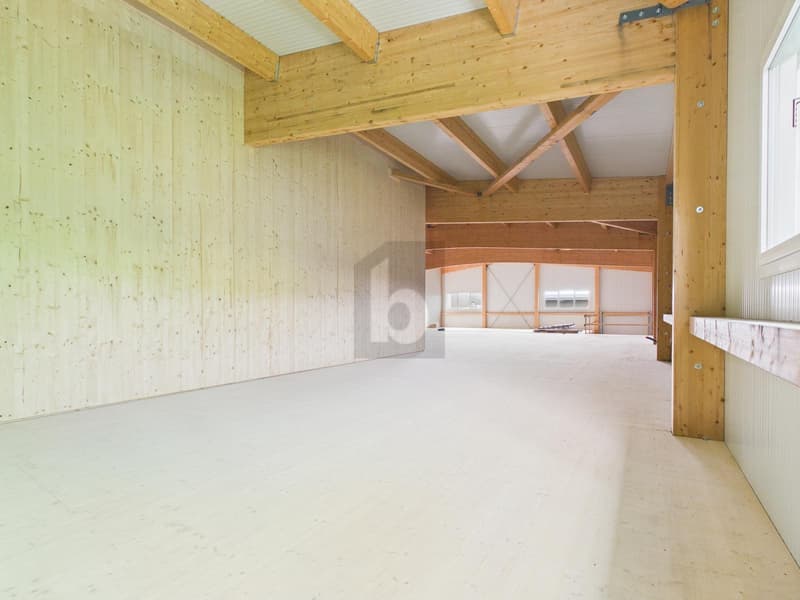 NEUBAU FLEXIBLER GEWERBERAUM (5)